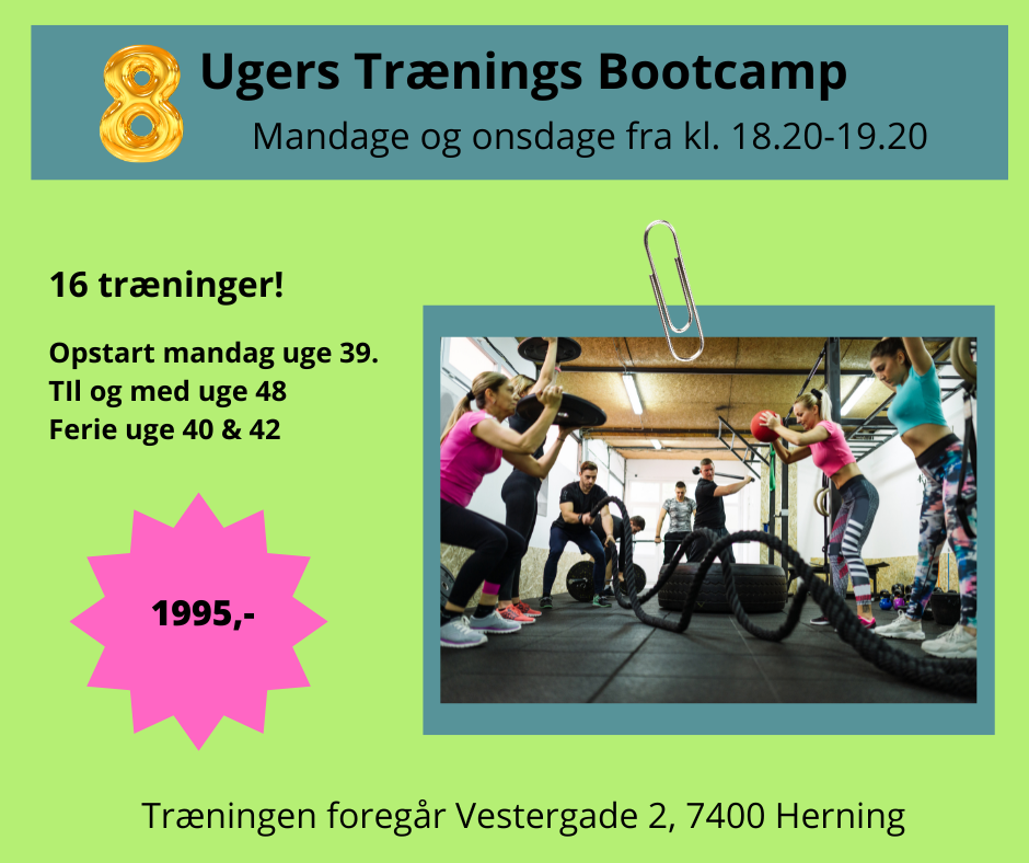 8 ugers trænings bootcamp